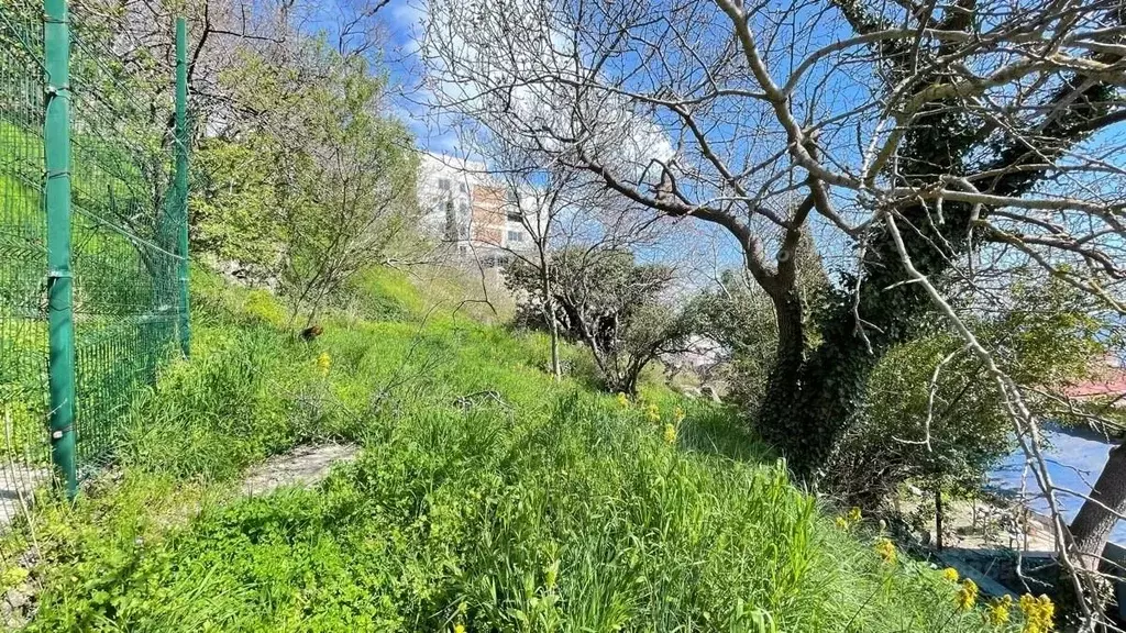 Участок в Крым, Алушта муниципальный округ, пос. Утес  (24.0 сот.) - Фото 1