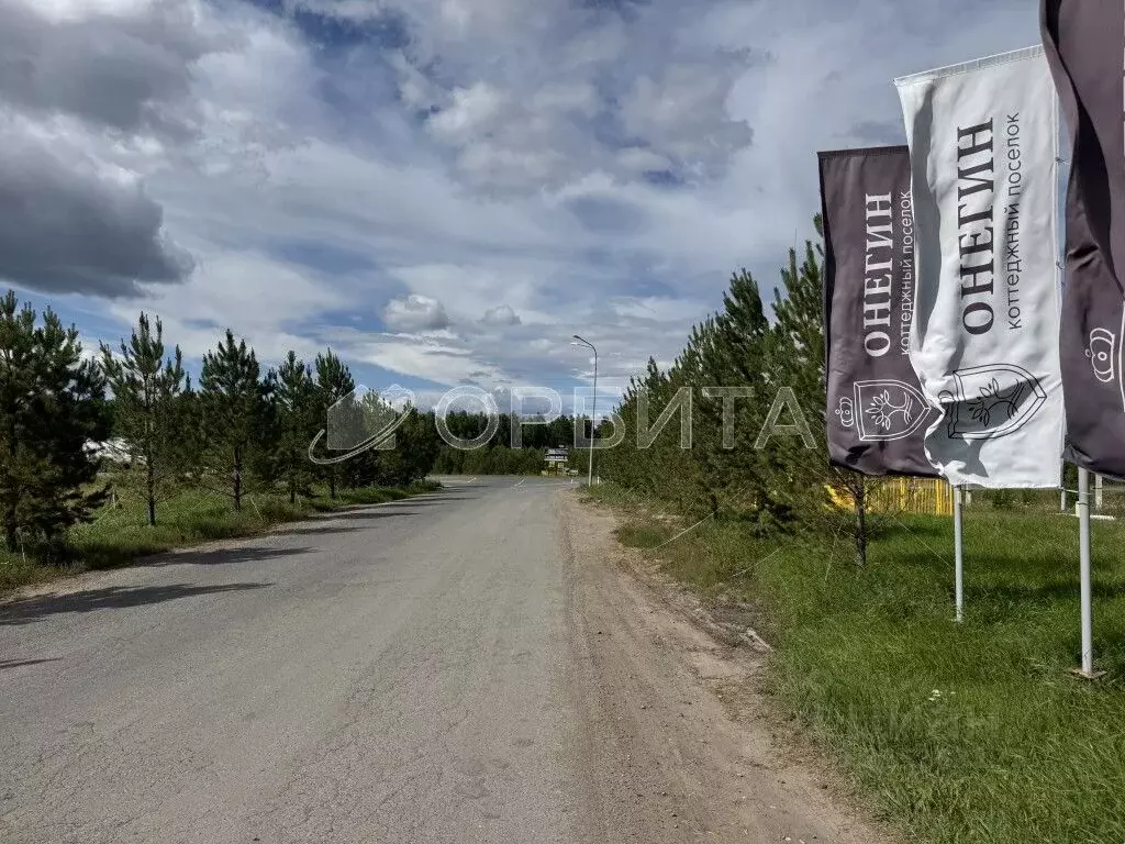 Участок в Тюменская область, Тюменский муниципальный округ, Онегин кп  ... - Фото 2