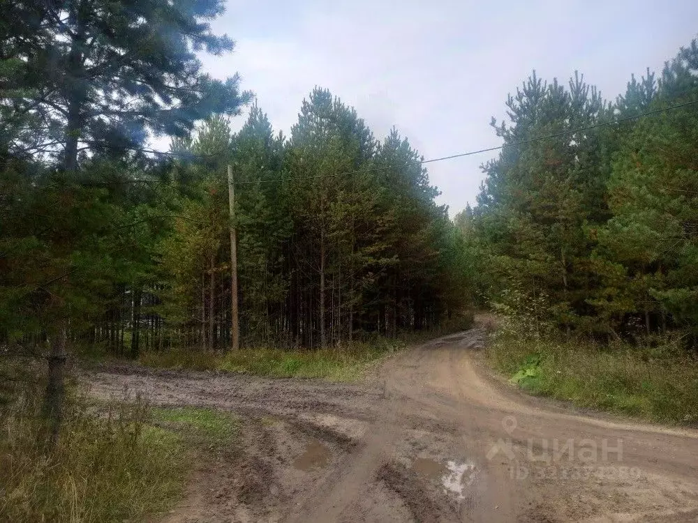 Участок в Свердловская область, Белоярский муниципальный округ, с. ... - Фото 2