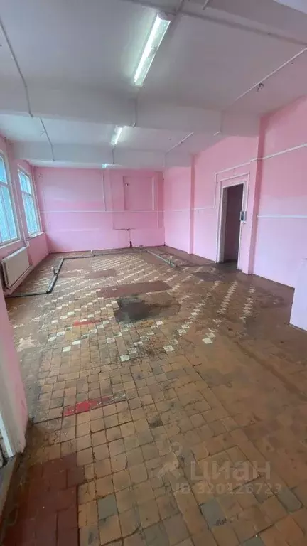 Помещение свободного назначения в Тульская область, Заокский рп ул. ... - Фото 1