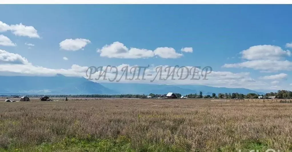 Участок в Алтай, Усть-Коксинский район, с. Чендек Зеленая ул. (15.0 ... - Фото 0