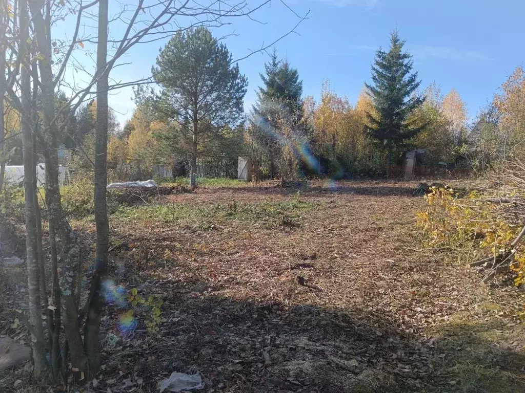 Участок в Пермский край, Пермский муниципальный округ, Прилив-4 СНТ 53 ... - Фото 2