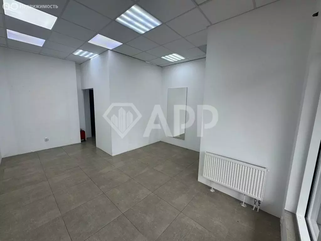 Помещение свободного назначения (33 м) - Фото 1