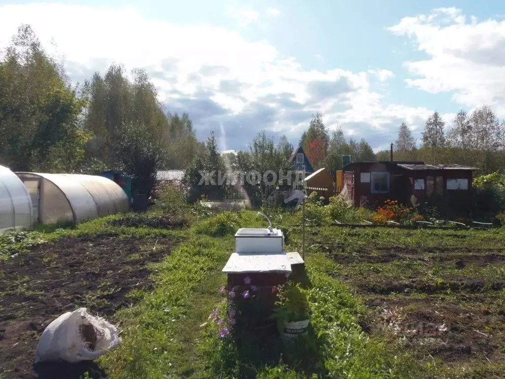 Дом в Новосибирская область, Тогучинский район, Инской узел ., Купить дом в  Тогучинском районе, ID объекта - 50013057029