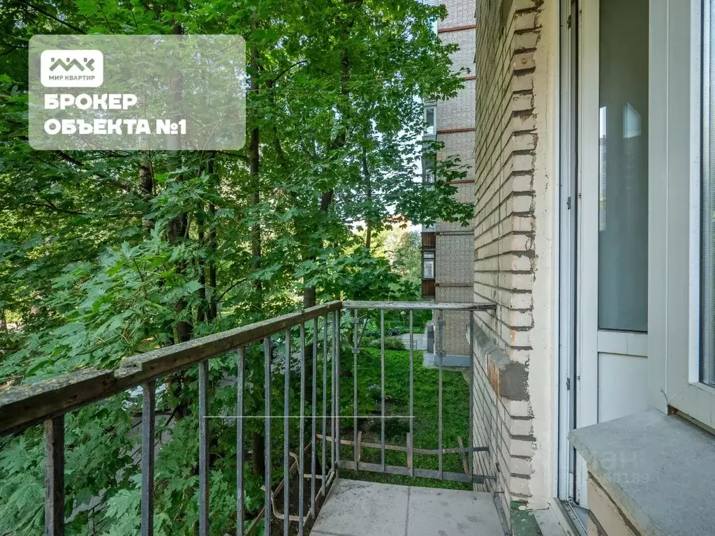 1-к кв. Санкт-Петербург Железноводская ул., 66 (30.1 м) - Фото 1