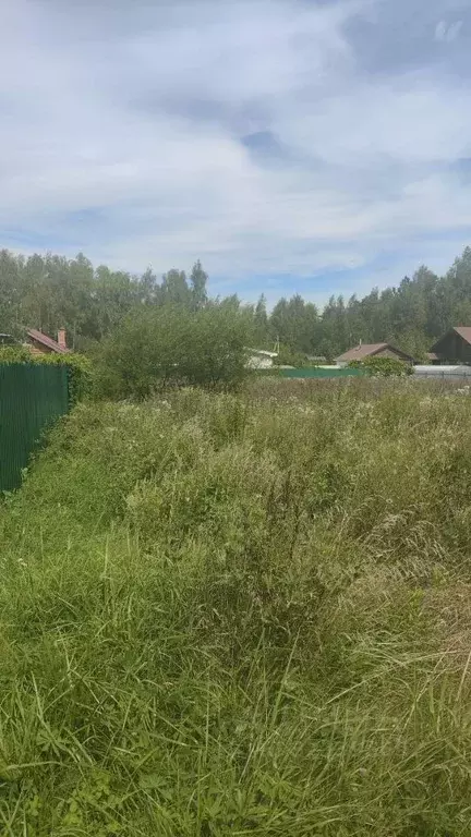 Участок в Владимирская область, Петушинское муниципальное образование, ... - Фото 0