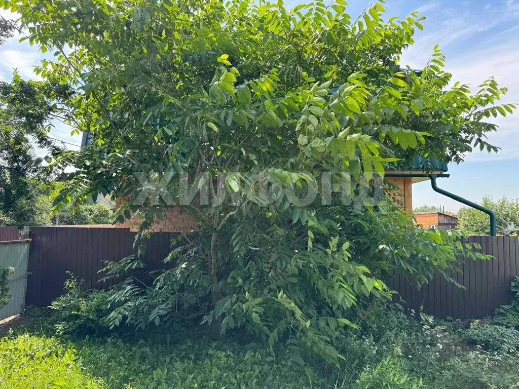 Дом в Томская область, Томск Нерудник СНТ,  (72 м) - Фото 1