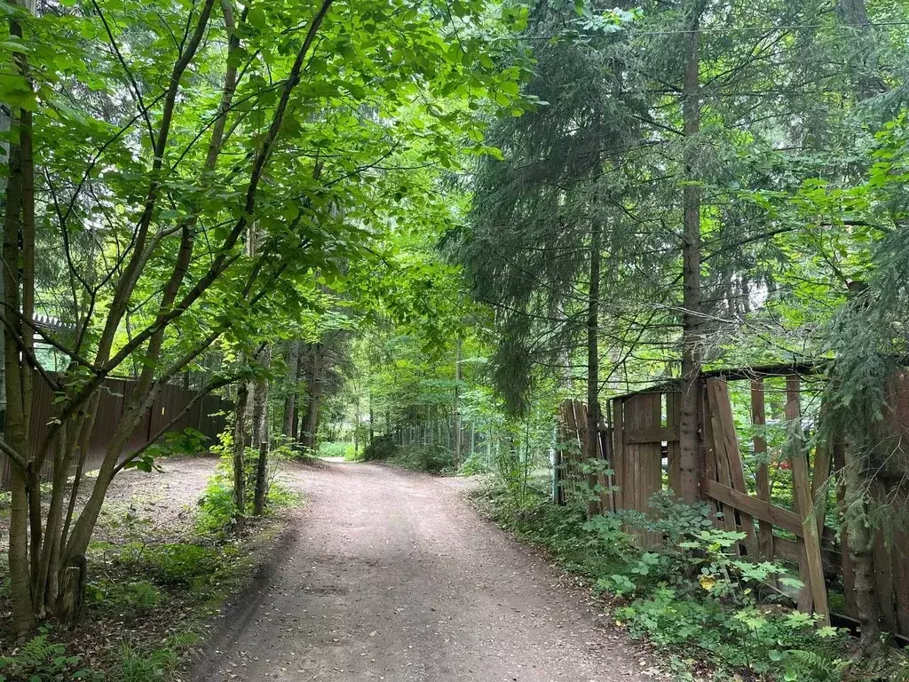 Участок в Московская область, Сергиево-Посадский городской округ, с. ... - Фото 2
