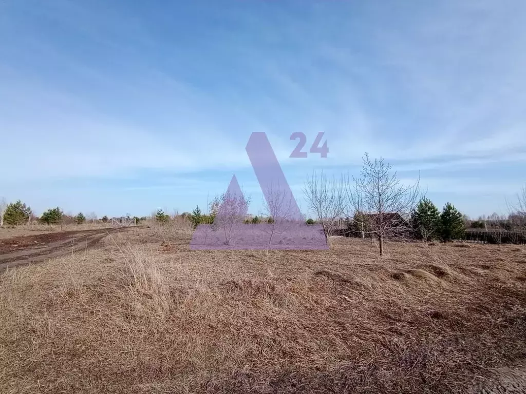 Участок в Алтайский край, Первомайский район, пос. Новый ул. ... - Фото 2