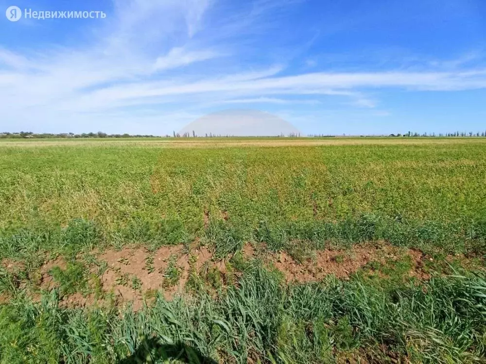 Участок в село Лесновка, Садовая улица (6.9 м) - Фото 0