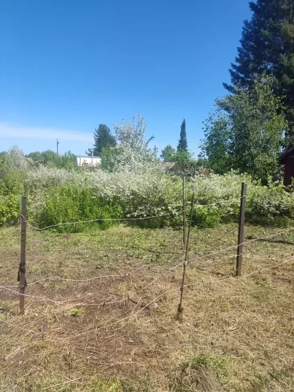 Участок в Алтайский край, Барнаул городской округ, пос. Плодопитомник, ... - Фото 2