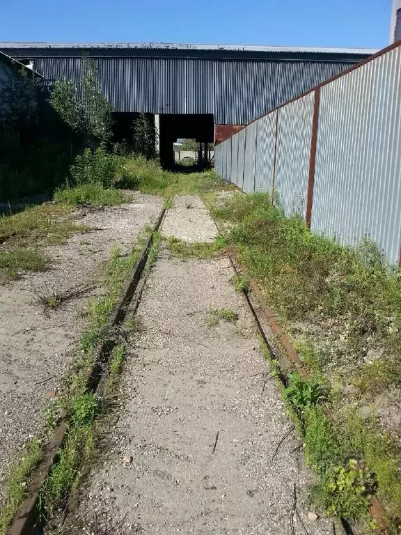 Помещение свободного назначения в Алтайский край, Барнаул Южный ... - Фото 0