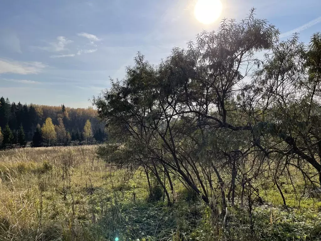 Участок в Московская область, Пушкинский городской округ, д. Хлопенево ... - Фото 0