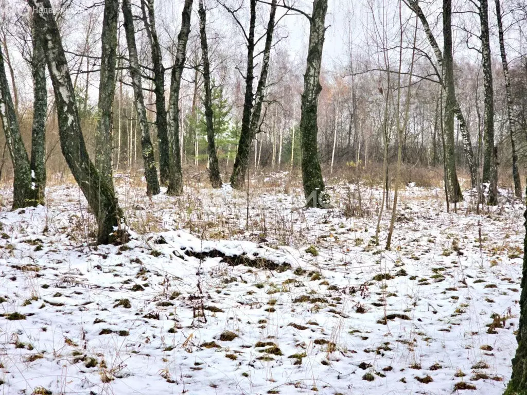 Участок в Московская область, городской округ Коломна, посёлок ... - Фото 0