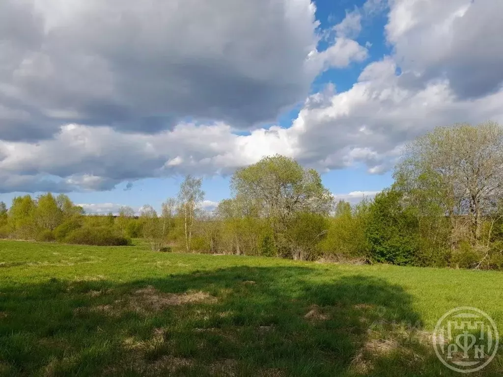 Участок в Ленинградская область, Выборгский район, Красносельское ... - Фото 1