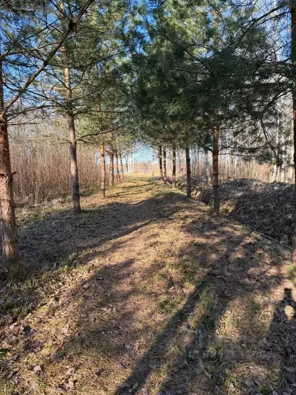 Дом в Новгородская область, Новгородский муниципальный район, ... - Фото 2