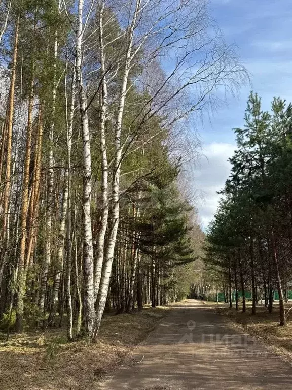Участок в Ярославская область, Ярославский муниципальный округ, д. ... - Фото 1