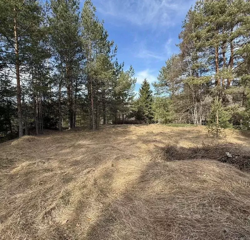 Участок в Ленинградская область, Выборгский район, Селезневское с/пос, ... - Фото 1