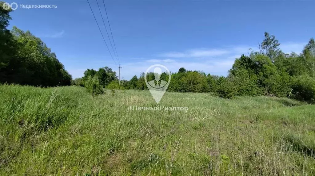 Участок в Рязанская область, Михайловский муниципальный округ, деревня ... - Фото 1