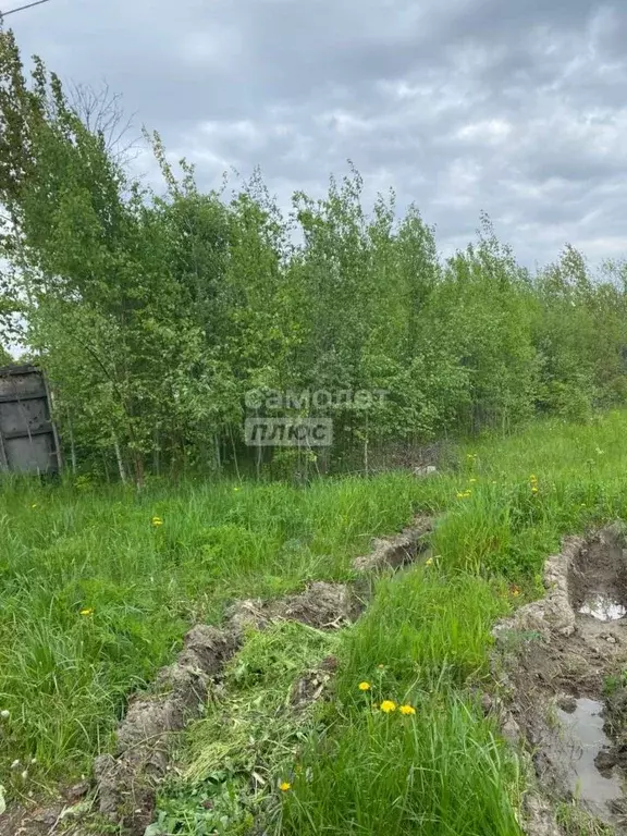 Участок в Новгородская область, Новгородский район, Ермолинское с/пос, ... - Фото 0