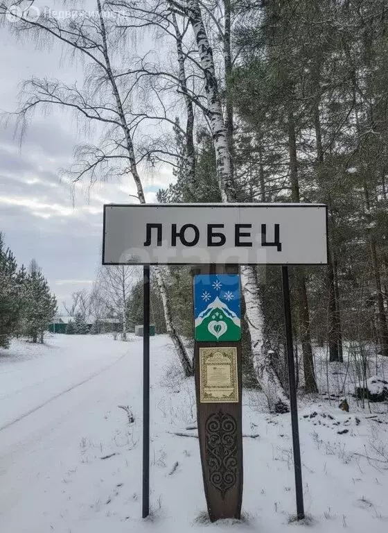 Участок в Владимирская область, Ковровский муниципальный округ, село ... - Фото 1