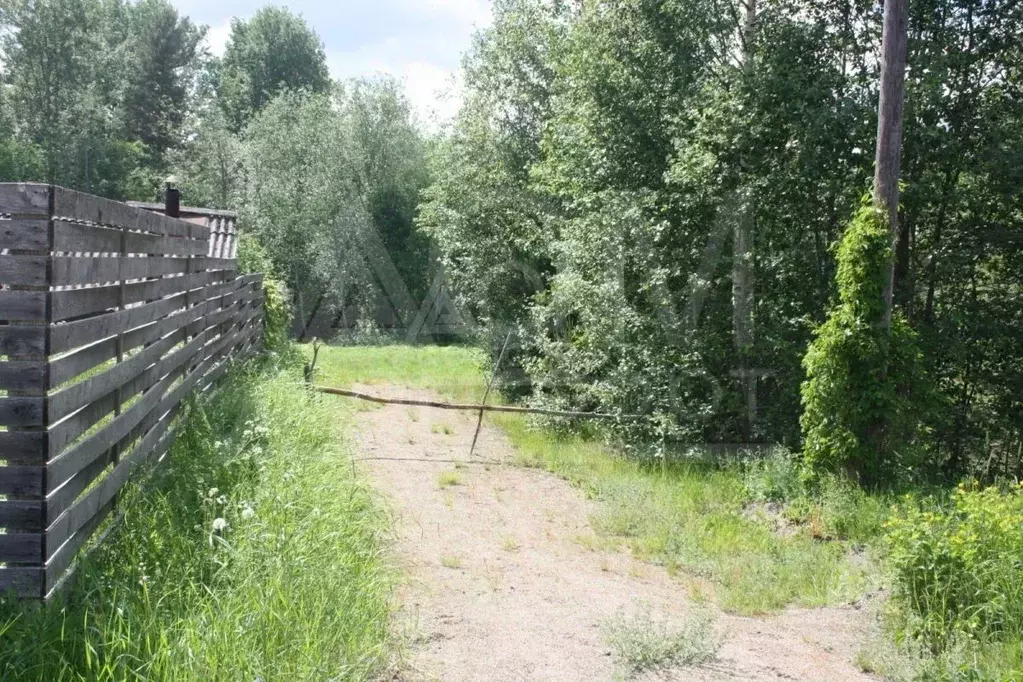 Участок в Ленинградская область, Приозерский район, Громовское с/пос, ... - Фото 1