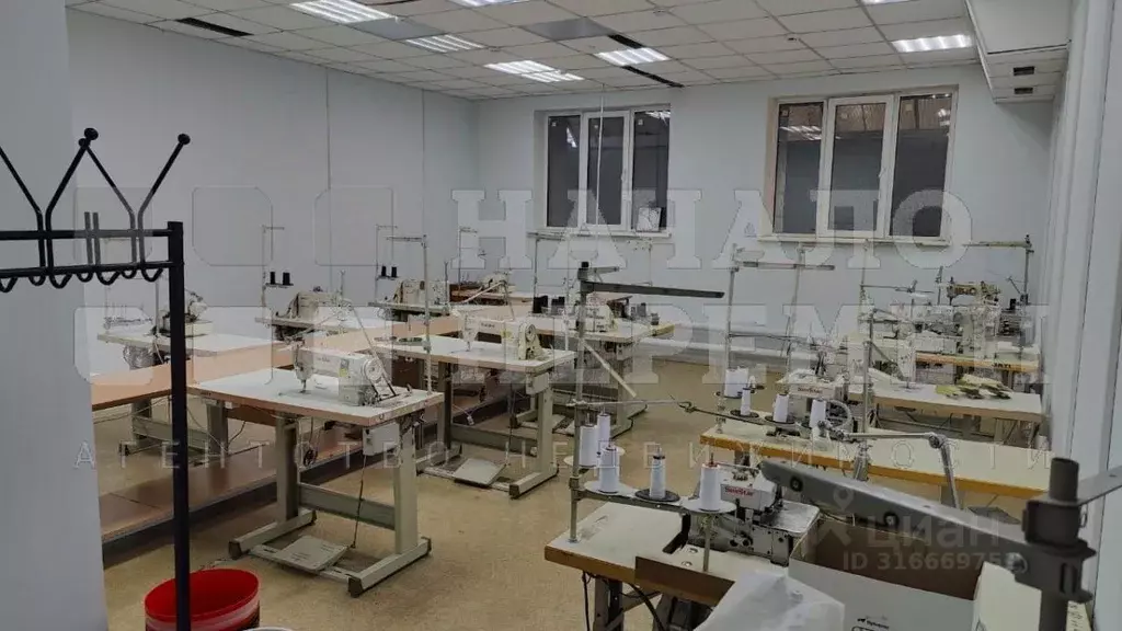 Помещение свободного назначения в Новосибирская область, Новосибирск ... - Фото 0