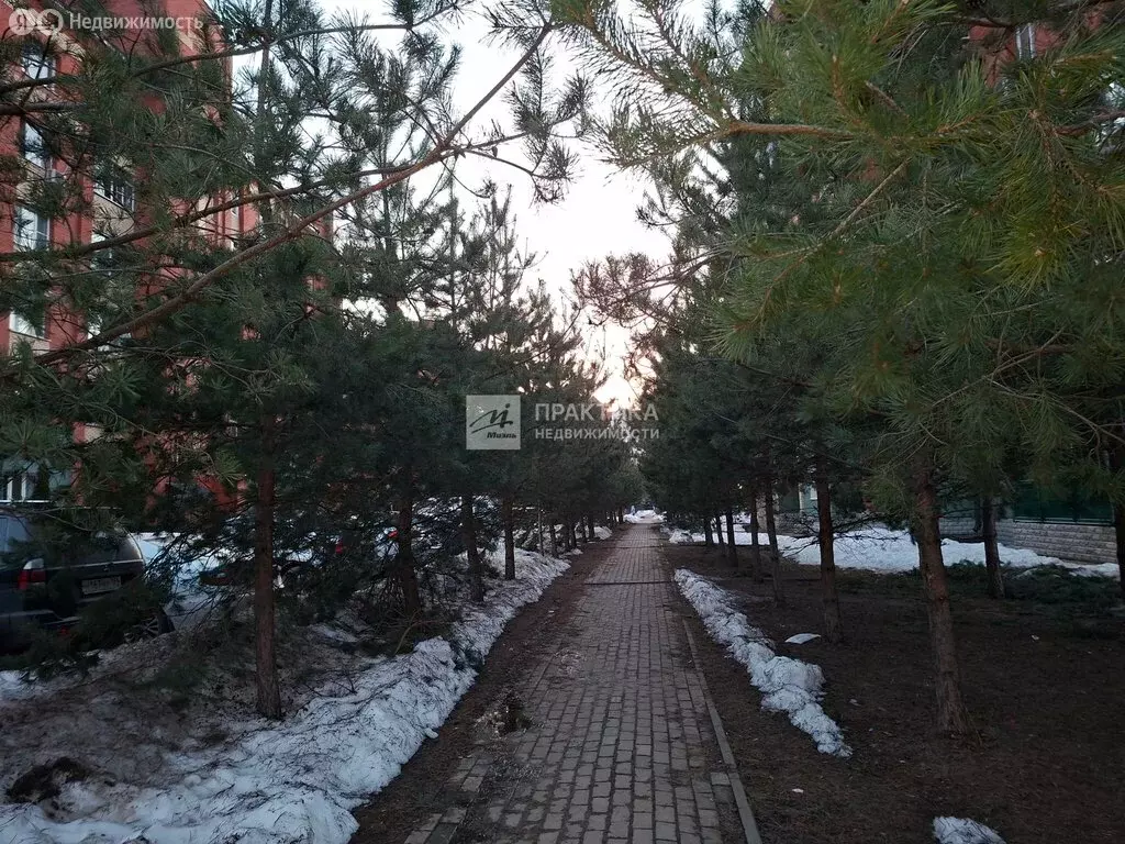 1-комнатная квартира: Фрязино, Пионерская улица, 3 (45.7 м) - Фото 2