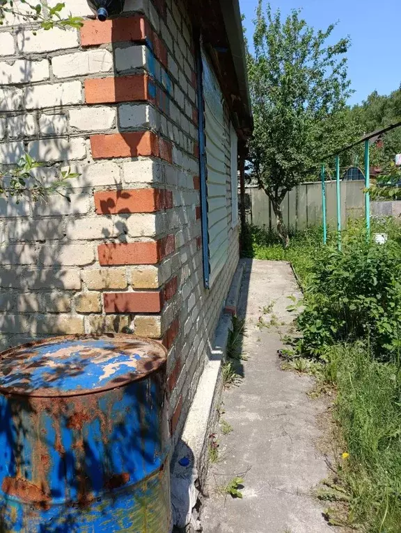 Дом в Челябинская область, Сосновский муниципальный округ, Дружба ... - Фото 1