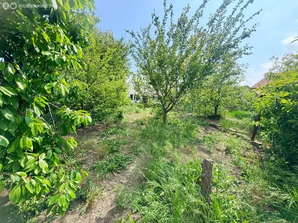 Дом в станица Анапская, улица Мира (38.4 м) - Фото 0