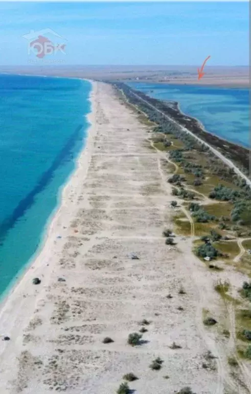 Участок в Крым, Черноморский район, с. Межводное пл. Центральная (4.0 ... - Фото 0