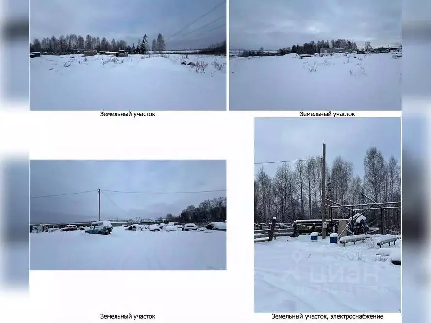 Участок в Пермский край, Чайковский городской округ, д. Малый Букор ... - Фото 2