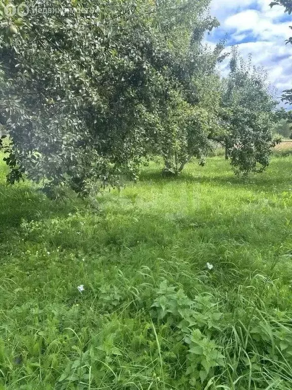 Участок в Калужская область, Боровский муниципальный округ, сельское ... - Фото 2