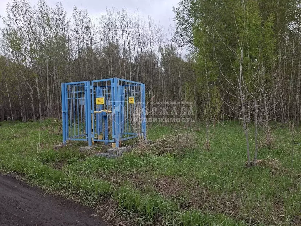 Участок в Кемеровская область, Кемеровский муниципальный округ, с. ... - Фото 1