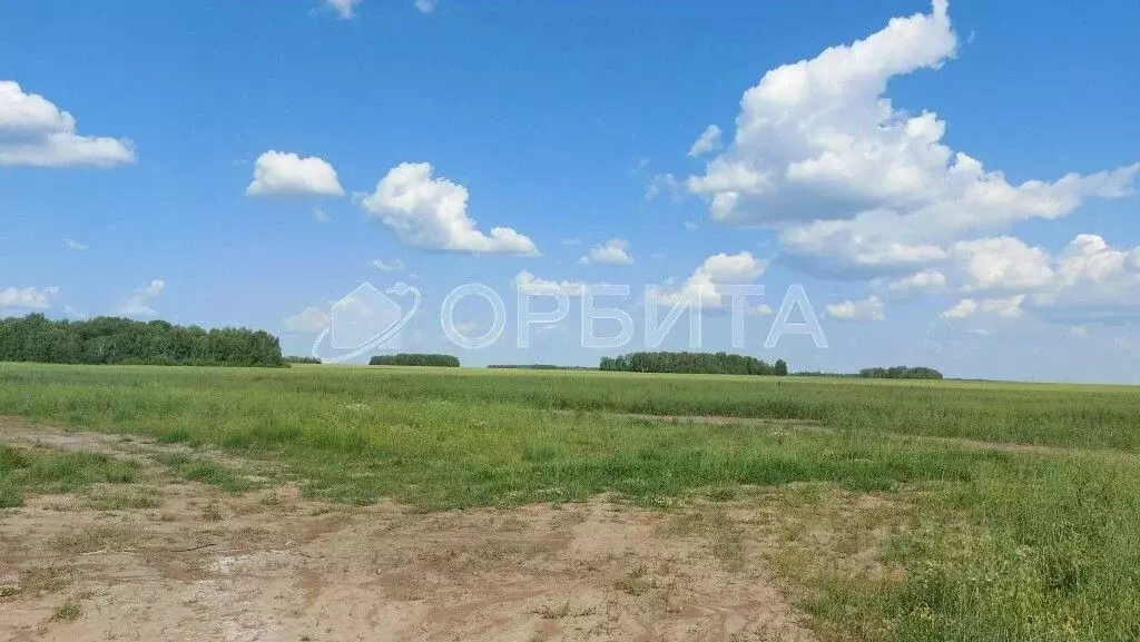 Участок в Тюменская область, Тюменский муниципальный округ, ... - Фото 2