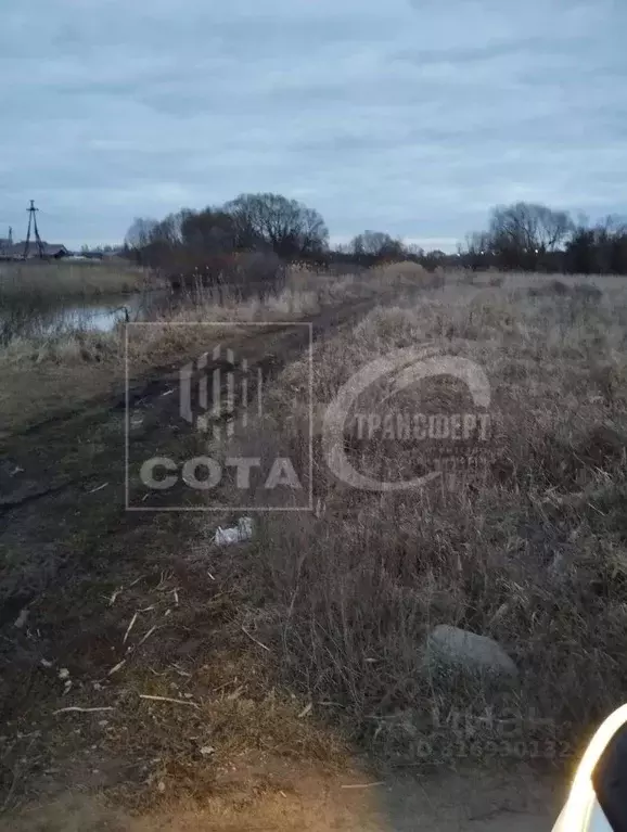 Участок в Воронежская область, с. Новая Усмань ул. Ленина, 22 (737.0 ... - Фото 1