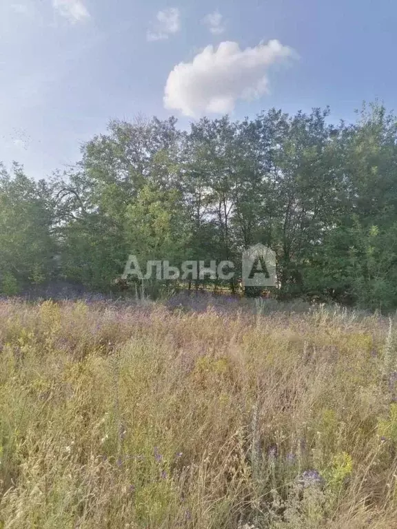 Участок в Ростовская область, Белокалитвинский район, пос. Коксовый ... - Фото 2