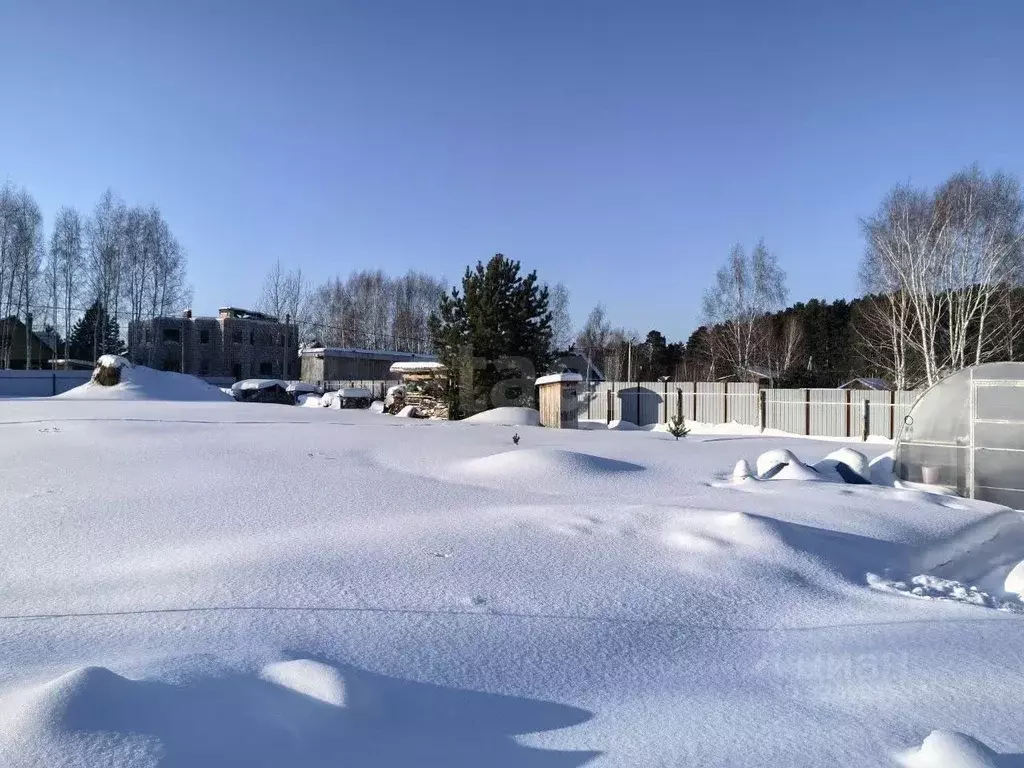 Участок в Тюменская область, Тюменский муниципальный округ, с. Каменка ... - Фото 1