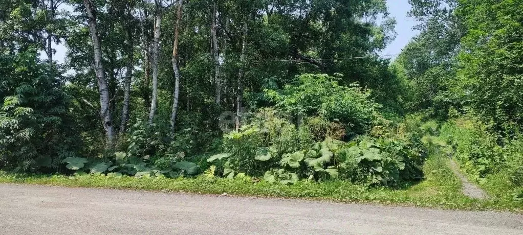 Участок в Сахалинская область, Долинский городской округ, с. Сокол ул. ... - Фото 0