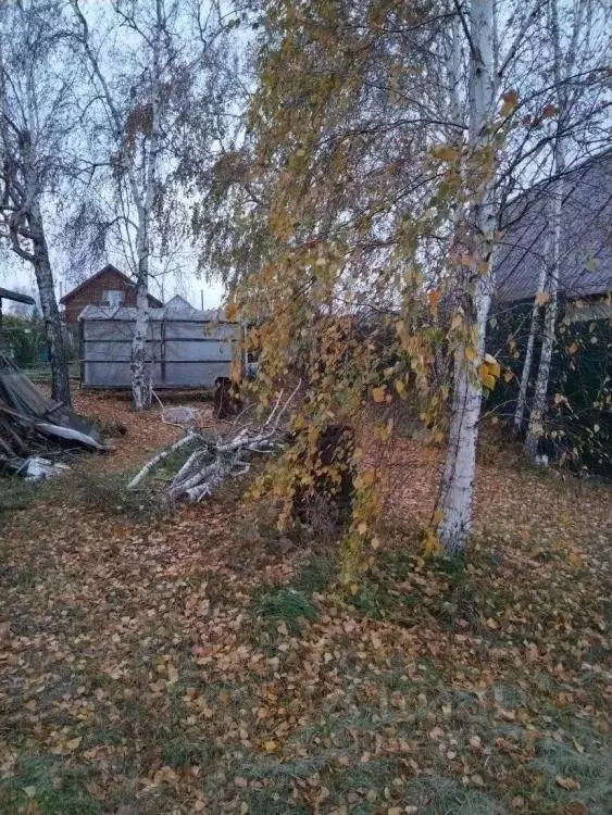 Дом в Иркутская область, Иркутск 6-я Пятилетка СНТ, ул. Малинная, 82 ... - Фото 2