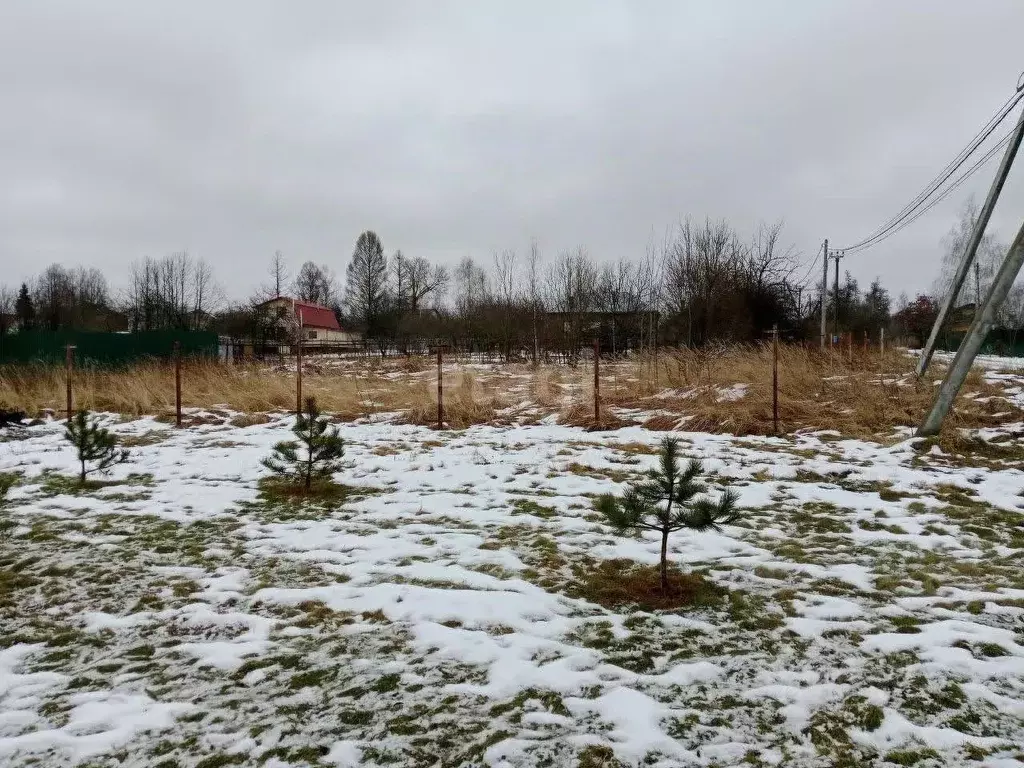 Участок в Московская область, Серпухов городской округ, д. Левое ... - Фото 0