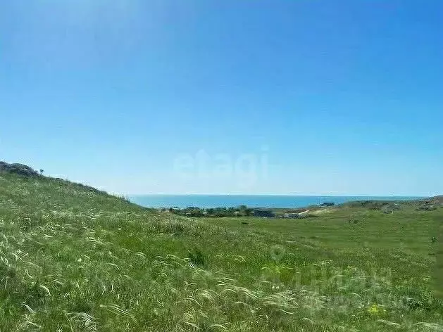 Участок в Крым, Ленинский район, Мысовское с/пос, с. Семеновка ул. ... - Фото 1