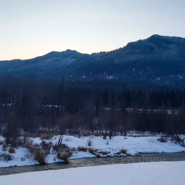 Участок в Алтайский край, Чарышский район, с. Сентелек ул. Солнечная, ... - Фото 2