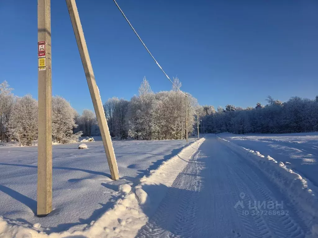 Участок в Ленинградская область, Приозерский район, Красноозерное ... - Фото 1