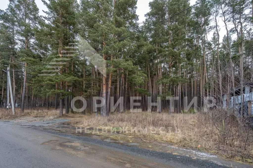 Участок в Свердловская область, Сысертский муниципальный округ, с. ... - Фото 2