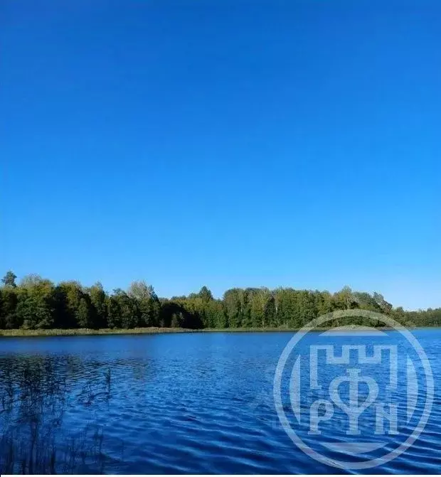 Дом в Ленинградская область, Лужский район, Серебрянское с/пос, д. ... - Фото 0