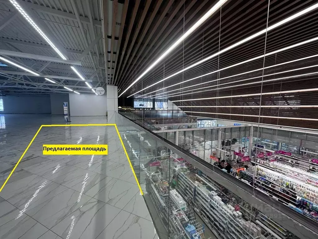 Помещение свободного назначения в Санкт-Петербург Дунайский просп., ... - Фото 1