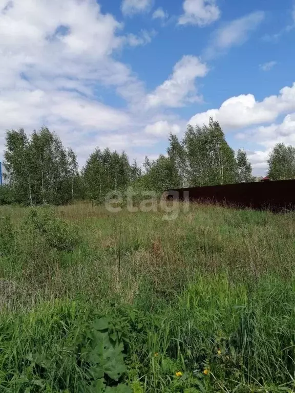 Участок в Московская область, Богородский городской округ, с. ... - Фото 0