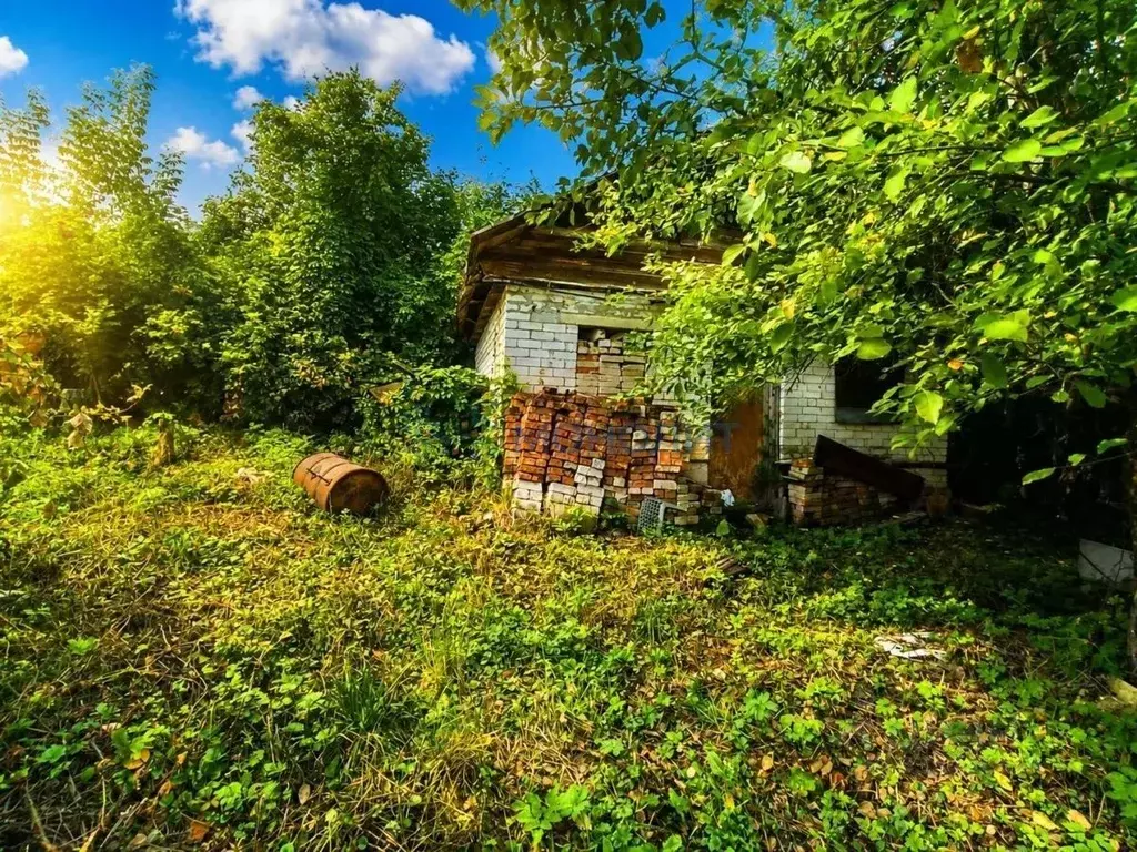 Участок в Нижегородская область, Нижний Новгород Колос СНТ, 260 (5.42 ... - Фото 2