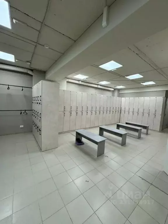 Помещение свободного назначения в Красноярский край, Красноярск ... - Фото 2